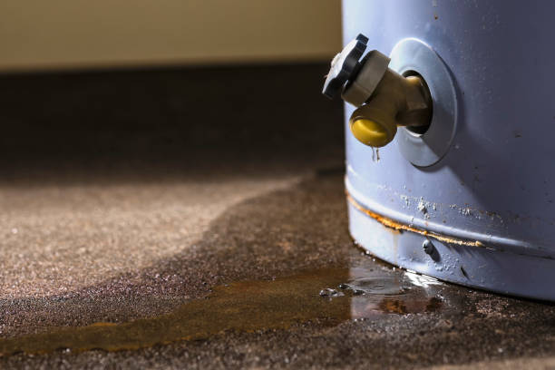 Best Water damage restoration insurance claims  in Washington, UT