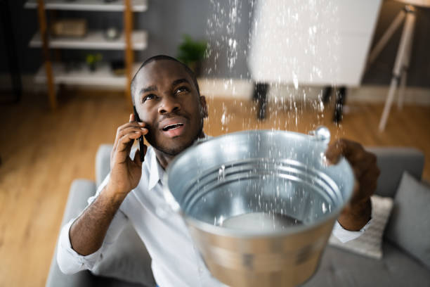 Best Professional water damage repair  in Washington, UT