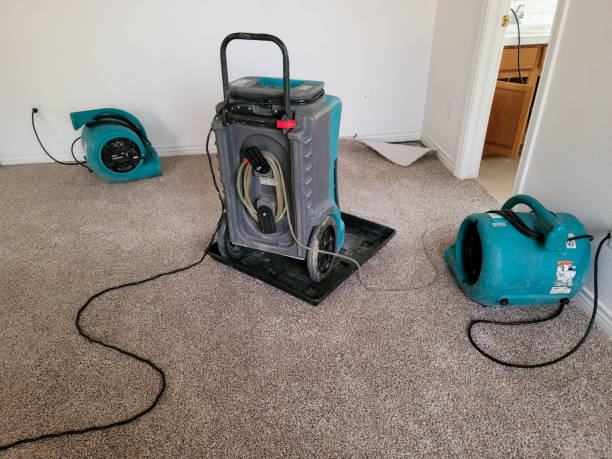 Best Fire Damage Restoration  in Washington, UT