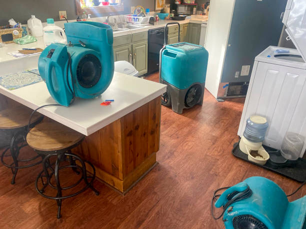 Professional Water damage restoration in Washington, UT
