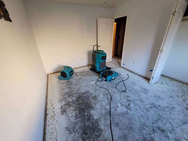 Best Local water damage restoration  in Washington, UT