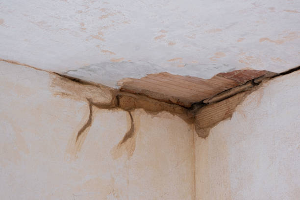 Best Water damage repair service  in Washington, UT