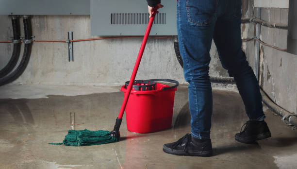 Best 24-hour water damage restoration  in Washington, UT