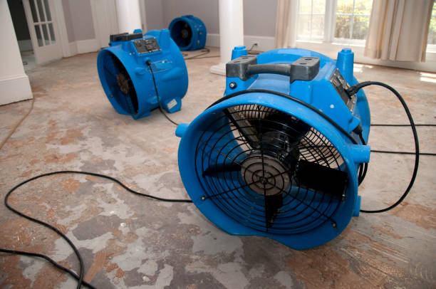 Best 24/7 water damage repair  in Washington, UT