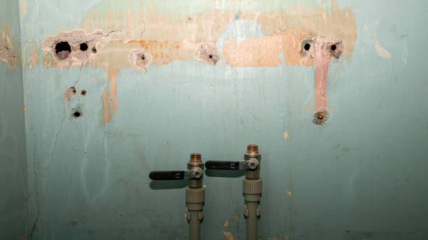 Best Water damage restoration near me  in Washington, UT