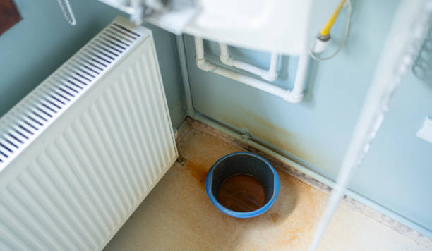 Best Carpet water damage restoration  in Washington, UT