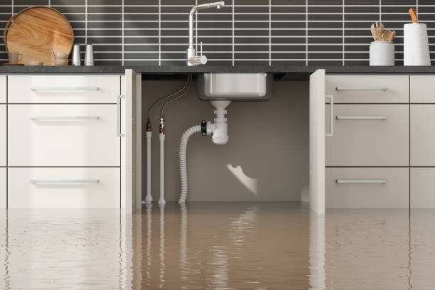 Best Sewage cleanup and water damage restoration  in Washington, UT