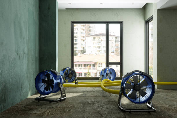 Fire Damage Restoration in Washington, UT