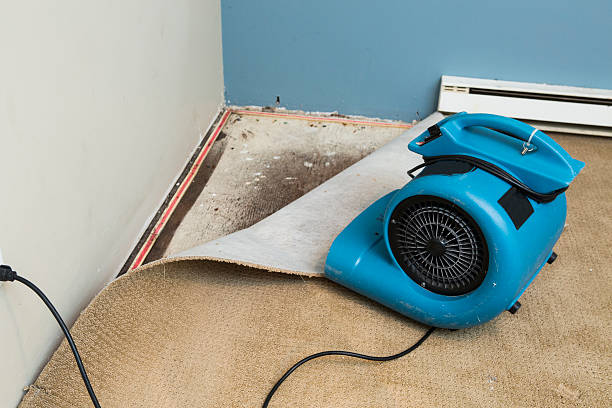Best Water damage cleanup near me  in Washington, UT